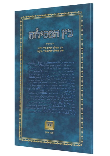 בין המסילות