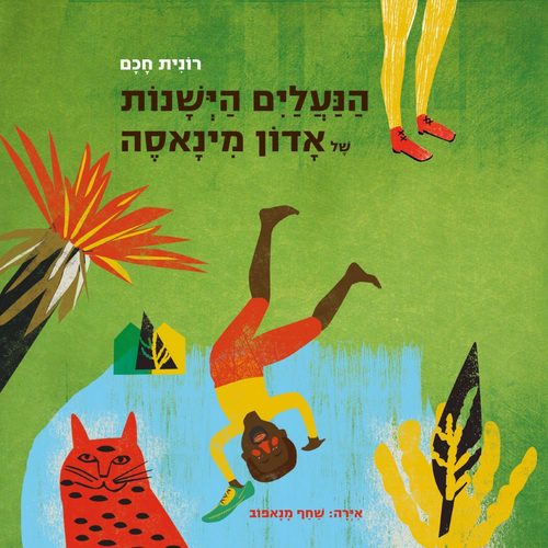 ספר ילדים - הנעלים הישנות של אדון מינאסה / רונית חכם