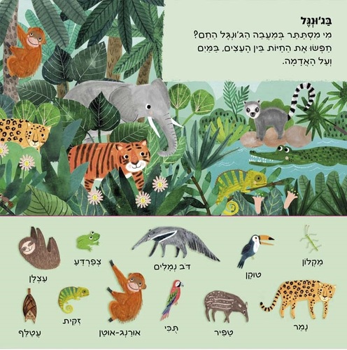 ספר הפעלה לילדים - יש כאן 101 בעלי חיים