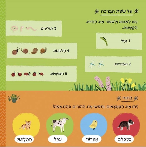 ספר הפעלה לילדים - יש כאן 101 בעלי חיים