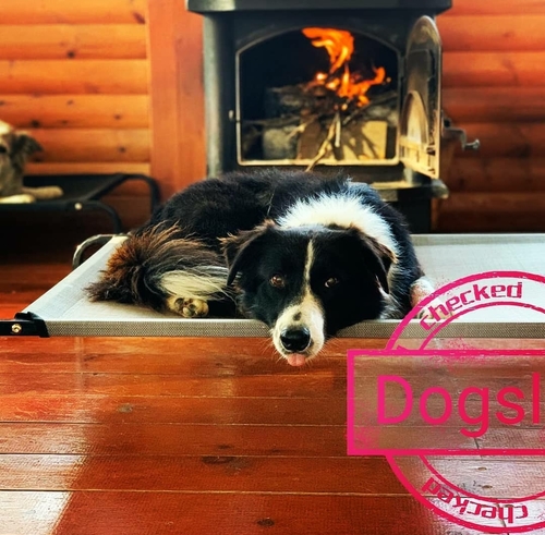 מיטת רשת Dogslife 114/76