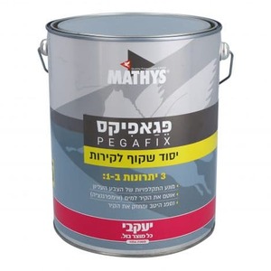 יסוד פגפיקס