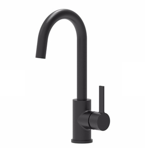 ברז אמבט נירוסטה דגם פיונה שחור מט 52332  שוני SHONY 