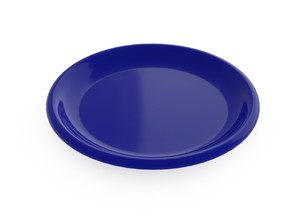 צלחת פלסטיק לגני ילדים