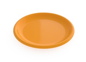 צלחות פלסטיק לבית הספר
