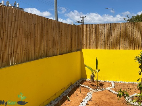 גדר במבוק מושחל עובי 30-35 מ