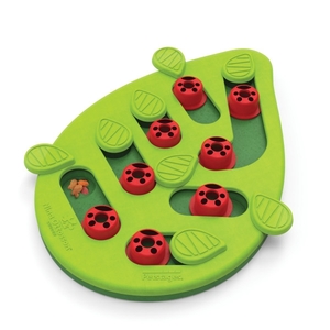 Buggin Out משחק חשיבה לחתולים Petstages