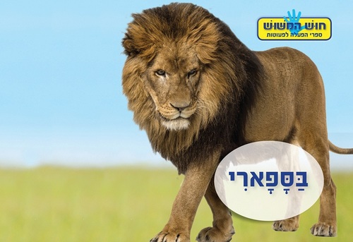 ספר המישוש - בספארי / תמר הלברג-רוג