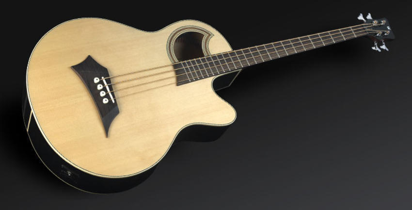 גיטרה בס אקוסטית 4 מיתרים WARWICK ALIEN STANDARD
