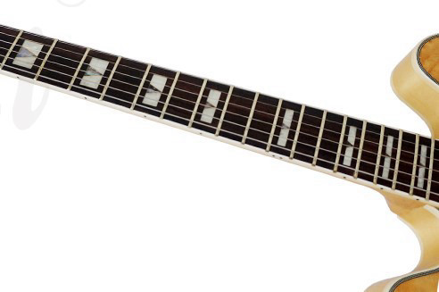 גיטרה חשמלית 1/4 נפח Aiersi AJ336