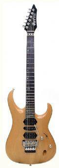 גיטרה חש' עם פלויד CORT VIVA GOLD II WS