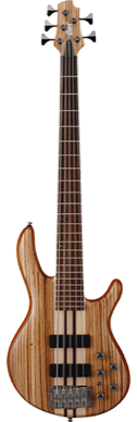 גיטרה בס אקטיבית 5 מיתרים CORT A5 CUSTOM Z OPN