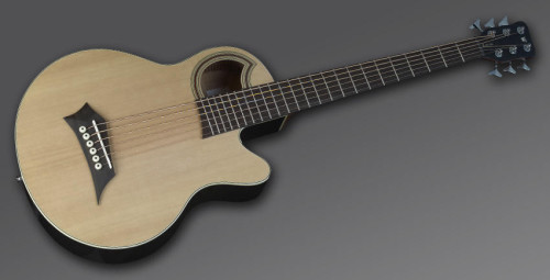 גיטרה בס אקוסטית 6 מיתרים WARWICK ALIEN STANDARD