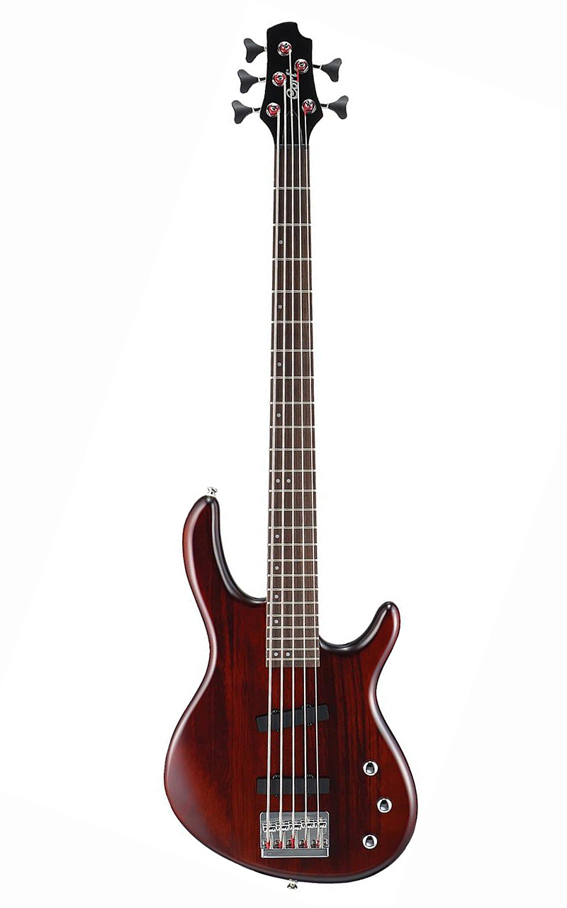 גיטרה בס 5 מיתרים CORT ACTION BASS V WS