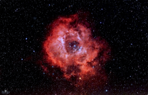 צלם השבוע - רועי לוי