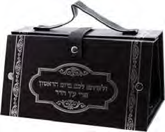 קופסת אתרוג סקאי כסף