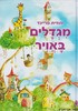 מגדלים באויר