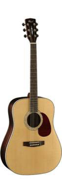 גיטרה אקוסטית CORT EARTH100RW ROSEWOOD