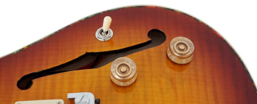 גיטרה חשמלית PRS סטייל Aiersi PRS-19SB