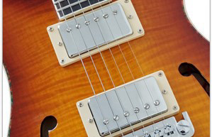 גיטרה חשמלית PRS סטייל Aiersi PRS-19SB