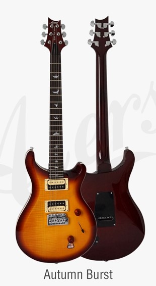 גיטרה חשמלית PRS סטייל Aiersi PRS-24SB