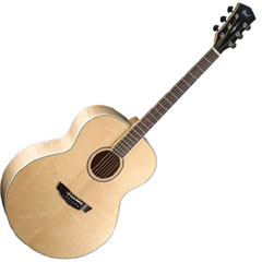 גיטרה אקוסטית PARKWOOD PW340FM