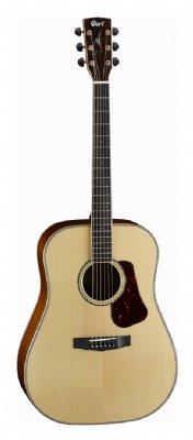 גיטרה אקוסטית + ארגז CORT EARTH CUSTOM M