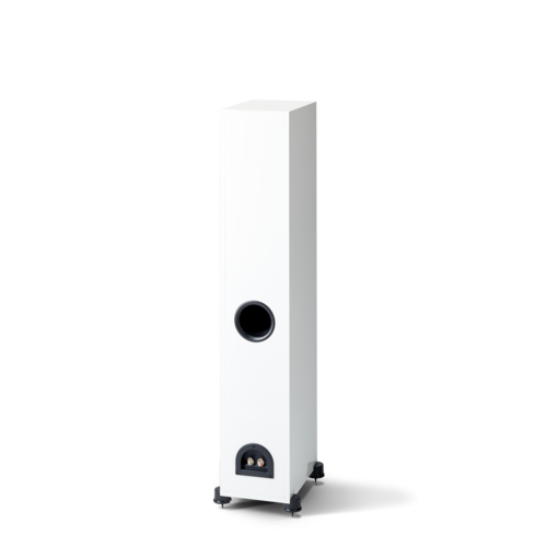 Paradigm Monitor SE 3000F REAR