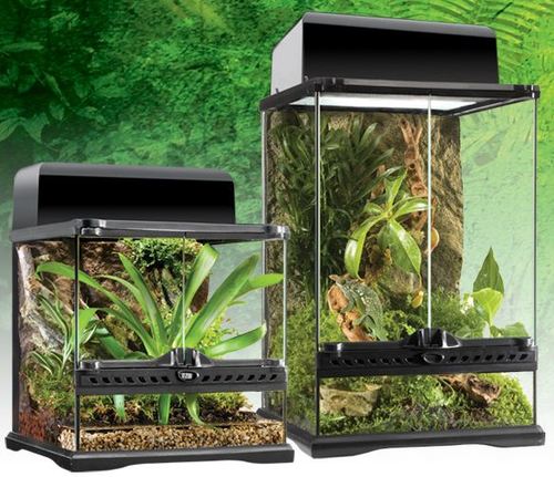 טרריום טבעי מיני גבוה לזוחלים 30*30*45 PT2602 Natural Terrarium Mini/Tall