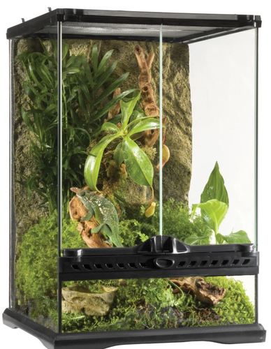 טרריום טבעי מיני גבוה לזוחלים 30*30*45 PT2602 Natural Terrarium Mini/Tall
