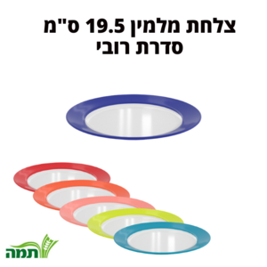 צלחת מלמין 19.5 ס"מ עם פס עיטור במגוון צבעים- סדרת רובי Tama