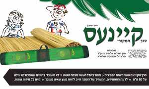 סכך קיינעס 2.1X3 מטר לסוכה