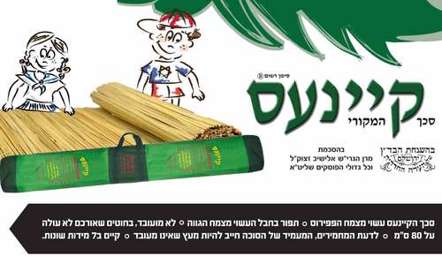 סכך קיינעס במבצע 2.5X3 מטר