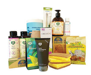 מארז היכרות טבעוני