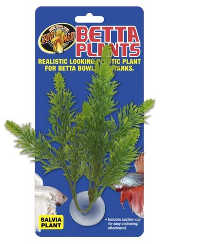 צמח לדג קרב פילו BP-23