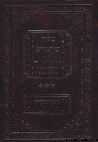 מגיד מישרים