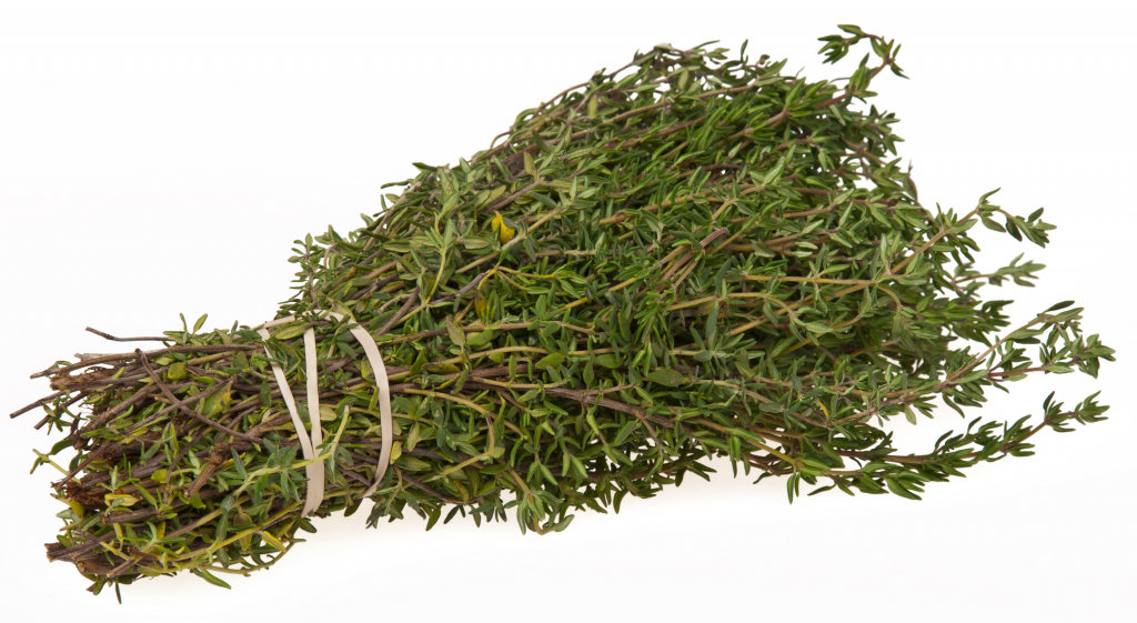 קורנית עלים 50 גרם / Thymus Vulgaris Leaf