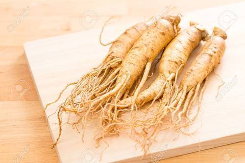 ג'ינסנג קוריאני 50 גרם / Panax ginseng / Korean ginseng