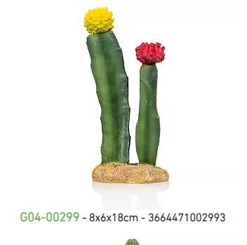 קקטוס  G04-00299