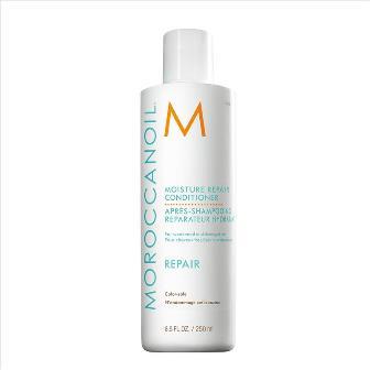 MOISTER REPAIR CONDITIONER מרכך משקם מעניק לחות 250 מל