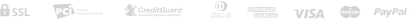 payment_icon