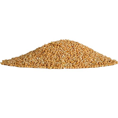 Medionix דוחן צהוב 20 ק״ג תערובת זרעים לציפורים