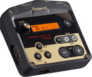Roland TM-2 | חלילית
