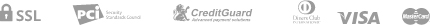 payment_icon