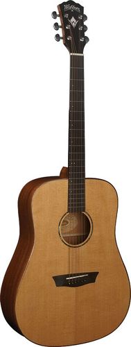 Washburn WD160SW