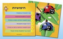 משחק זיכרון מה בתמונה? BrainBox