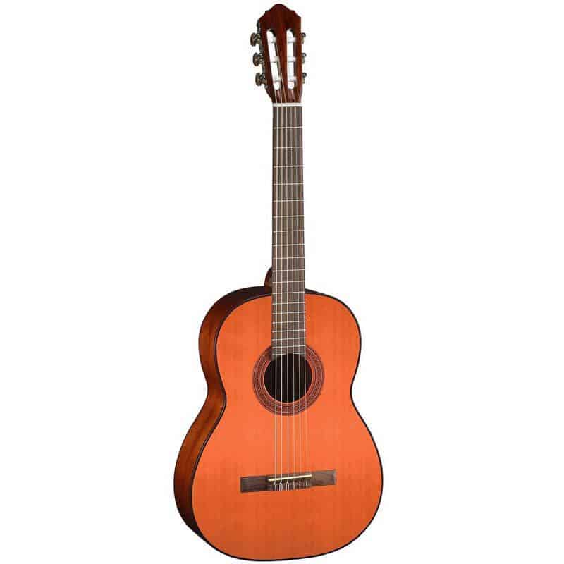 Cort AC 100DX YT