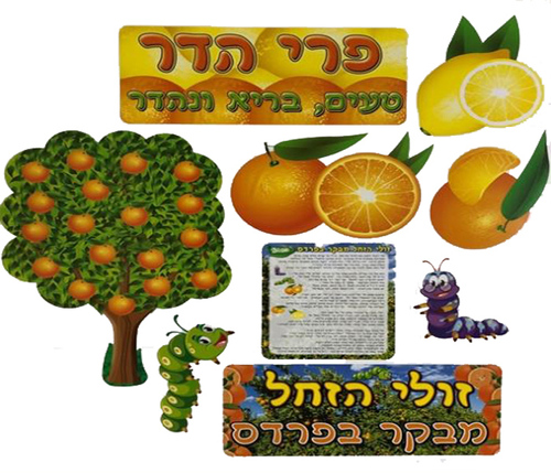 ערכת סיפור בהמחשה זולי הזחל מבקר בפרדס/אפונה