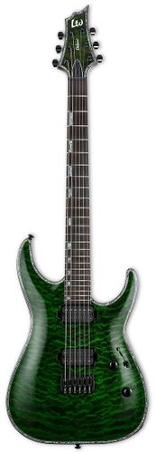 ESP LTD H-1001QM