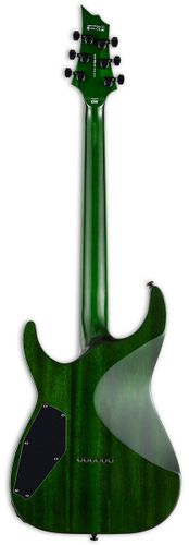 זוית נוספת ESP LTD H-1001QM